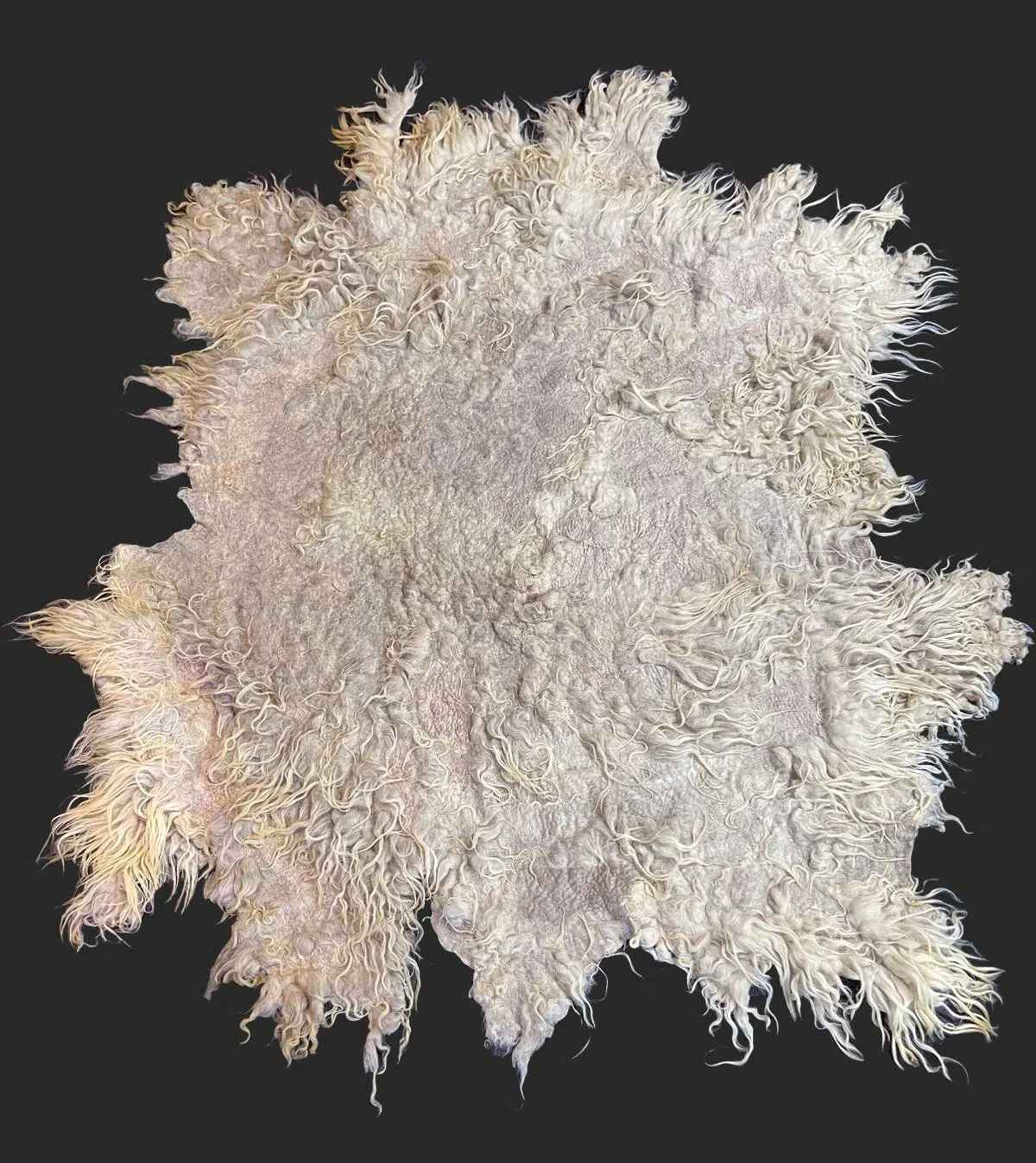 Claudy Jongstra in collaboration with et galerie brings you